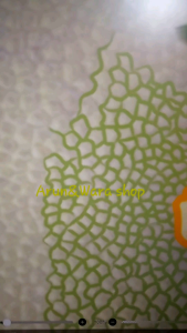 หัวปากกา Samsung S6/S6 Lite S7/S7FE/S7+ S8/S8UltraS9/S9+/S9fe/Ultra/S10+/S10Ultra