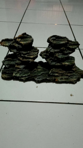 tebing zig-zag kembar