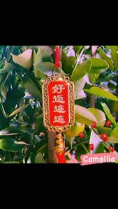 32cm CNY 农历新年 挂饰 Chinese New Year 🧧 CNY Decorations Gold Fengshui Seasonal Festive celebration Ong Lai Culture Oriental