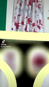 gorden minimalis gorden termurah gorden kupu kupu