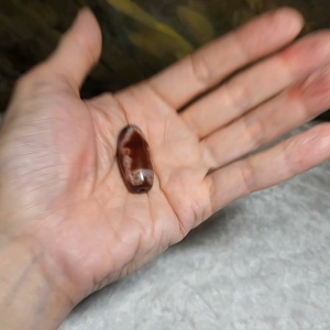 Aged Tibetan Red Chalcedony with "Blood Streak" Guan Yin 2 Eyes Dzi pendant (with certificate free necklace string) 西藏老矿红玉髓“血丝”兩眼观音天珠(带证书 送项链绳)