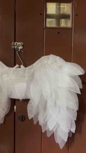 Sayap Kostum Karnaval: Aksesoris Pesta & Desain