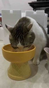 ✨✨ Bát ăn sứ tráng men chống gù lưng cho chó mèo 🍦✨✨