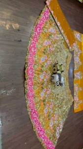 [PRE-ORDER] Semistitched Embroidered Lengha ( Delivery 10 Days )