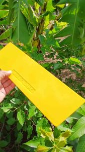 Dao Trét Bột Bả Ô Tô Nhựa Nguyên Sinh Cao Cấp 15 inch- 11Cm*38Cm cho Xe Hơi