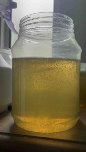 (BUY5FREE1) Kutu Air Hidup Gergasi DM Daphnia Magna