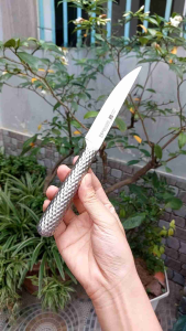 Dao gọt hoa quả dao gọt trái cây Đức dài 23cm cán thép