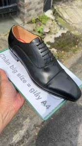 Giày da công sở giày tây big size cỡ lớn 45 46 47 48 cho nam chân to. Large size men’s oxford shoes for wide feet GT346