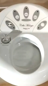 Máy massager body tại nhà dành cho chị em phụ nữ CELLU MOLOGIE  hàng si Nhật