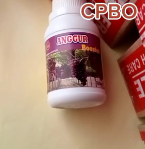 Pupuk Booster Anggur Untuk Semprot dan Kocor Agar Cepat Berbuah Lebat