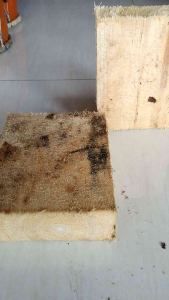 Bahan baku ganongan/kayu dadap cangkring/Bonus hidung ganong
