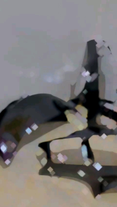 Batok/Totok Kepala Depan Suzuki Tornado & Shogun Lama