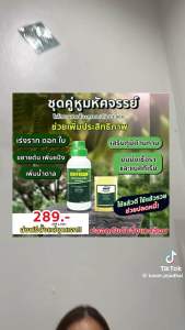 คู่หู ไคโตซานสายสั้น+อะมิโน สูตรไอออน 1 ชุด 289.-