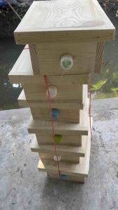 🐝กล่องเลี้ยงผึ้งน้อยชันโรง🐝แถมแผ่นใส🌳กล่องเป็นไม้สนสดไม่เคลือบสารเคมีปลอดภัยต่อชันโรง100%