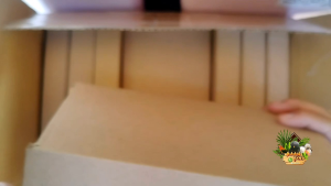 📌กรรไกรตัดโค้ง+ซอยสำหรับขนสูง 7 นิ้ว สีทอง สำหรับแมวและขนสูงกระชับ พร้อมส่งในไทย