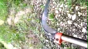 EGREK SAWIT PALMKING PLUS JALU