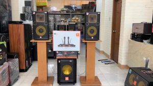 LOA KARAOKE ĐỨNG BASS 25CM (GIÁ 2 CÁI) THÙNG SƠN TĨNH ĐIỆN LINH KIỆN NHẬP KHẨU CAO CẤP 2 ĐƯỜNG TIẾNG