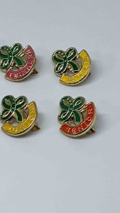 PIN SET | Girl Scout Pin GSP Pin Twinkler Star Junior Senior Investiture Pin World Pin | Pin Holder by LasuerteApparel