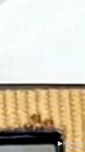 Jepit Rambut Import LUSINAN Korea Premium Jedai Kotak Bunga Fashion Wanita Elegant High Quality Import 12 PCS