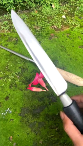 Pisau Dapur Bahan Baja HSS: Pisau Sayur & Daging - Pisau Serbaguna