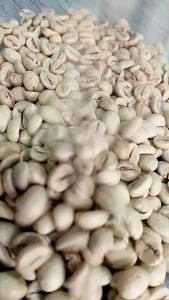 UGC ASLI Umi Green Coffee Kesehatan Pelangsing 250 gr 4 pcs