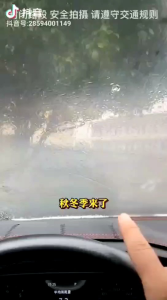 防雾防水湿巾 (5包90抽)