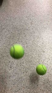 ลูกเทนนิสใช้แล้ว สภาพดี Dunlop Fort All Court