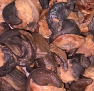 Dried Snails100g (imported from Nigeria)