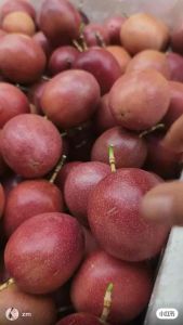 [Fresh Local] Premium Fresh Passion Fruit (Buah Markisa) Grade A / Sweeter & Juicier / Direct Farm Fresh (1kg / 500g)