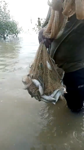 Handmade 10 kaki 11 kaki 12 kaki jala ikan dri jala ikan fishing net rampat ikan jala ikan udang jala tangsi pasang Batu Timah Outdoor