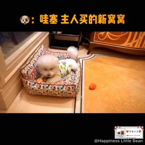 【现货】宠物定制可拆洗换洗拉链床窝狗窝/狗床/猫窝/猫床/大型狗床窝【Ready Stock】Pet Dog Washable Bed Cat Washable Bed Kucing