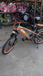 จักรยานเด็ก 20 นิ้ว MTB เสือภูเขา Candy รุ่น Rogan 21Sp.