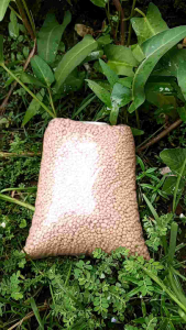 Pupuk NPK Phonska Merah 1kg/Pupuk Penyubur Buah dan Sayuran Pupuk Organik Butiran Fertilizer Untuk Tanaman Pupuk Pertanian Ramah Lingkungan - Lazada