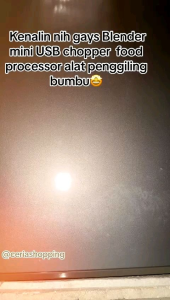 Blender Mini USB Chopper Food Processor Alat Penggiling Bumbu