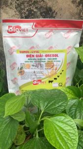 Điện Giải Oresol Điện Giải Gluco.Kc Thảo Dược 1Kg Chống Nóng Giải Nhiệt Nhanh Tăng Sức Đề Kháng Cho Heo Gà Vịt Cút
