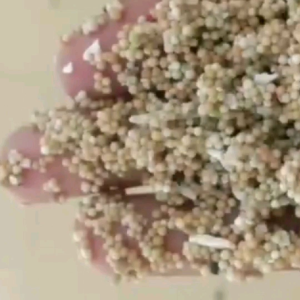 Pasir Bali Aquascape Aquarium: Pilihan Ukuran & Kelebihannya\\n\\n Apa Itu Pasir Bali Aquascape?\\n\\nPasir Bali Aquascape adalah pasir alami yang berasal dari pantai-pantai di Bali, Indonesia. Pasir ini populer digunakan dalam aquascape dan aquarium karena kualitasnya yang tinggi dan keindahan warnanya. Dalam artikel ini, kita akan membahas tentang karakteristik, kelebihan, cara penggunaan, variasi ukuran, dan keunggulan pasir Bali Aquascape.\\n\\n Karakteristik Pasir Bali\\n\\nPasir Bali Aquascape memiliki karakteristik unik yang membuatnya cocok untuk aquascape dan aquarium. Beberapa karakteristik tersebut antara lain:\\n\\n- Warna: Pasir Bali memiliki warna yang indah dan natural, mulai dari abu-abu muda hingga coklat muda.\\n- Kualitas: Pasir Bali Aquascape bersih dan bebas dari bahan kimia berbahaya, sehingga aman untuk ikan dan tanaman air.\\n- Konsistensi: Pasir Bali Aquascape memiliki konsistensi yang baik, sehingga mudah dibentuk dan tidak mudah tercampur dengan air.\\n\\n Kelebihan Pasir Bali\\n\\nPasir Bali Aquascape memiliki beberapa kelebihan yang membuatnya menjadi pilihan yang baik untuk aquascape dan aquarium. Beberapa kelebihan tersebut antara lain:\\n\\n- Estetika: Pasir Bali Aquascape memiliki warna yang indah dan natural, sehingga dapat menambah estetika pada aquascape dan aquarium.\\n- Fungsi: Pasir Bali Aquascape dapat membantu menjaga keseimbangan air dan mencegah pertumbuhan alga berlebihan.\\n- Ketersediaan: Pasir Bali Aquascape mudah didapatkan dan tersedia dalam berbagai ukuran.\\n\\n Cara Menggunakan Pasir Bali Aquascape\\n\\nBerikut adalah langkah-langkah penggunaan pasir Bali Aquascape:\\n\\n1. Siapkan aquarium yang sudah dibersihkan dan dipersiapkan.\\n2. Tuangkan pasir Bali Aquascape ke dalam aquarium.\\n3. Ratakan pasir Bali Aquascape menggunakan alat yang sesuai.\\n4. Tambahkan air ke dalam aquarium.\\n5. Tambahkan ikan dan tanaman air sesuai kebutuhan.\\n\\nBerikut adalah beberapa tips dan trik penggunaan pasir Bali Aquascape:\\n\\n- Gunakan pasir Bali Aquascape yang bersih dan bebas dari bahan kimia berbahaya.\\n- Ratakan pasir Bali Aquascape dengan hati-hati agar tidak tercampur dengan air.\\n- Jangan menggunakan terlalu banyak pasir Bali Aquascape, karena dapat mengganggu pertumbuhan tanaman air.\\n\\n Variasi Ukuran Pasir Bali\\n\\nPasir Bali Aquascape tersedia dalam berbagai ukuran, mulai dari 1kg hingga 10kg. Berikut adalah beberapa variasi ukuran pasir Bali Aquascape:\\n\\n Pasir Bali 1kg\\n\\nPasir Bali 1kg cocok untuk aquarium dengan volume kecil, seperti nano aquarium atau paludarium.\\n\\n Pasir Bali 5kg\\n\\nPasir Bali 5kg cocok untuk aquarium dengan volume sedang, seperti aquarium 50 liter hingga 100 liter.\\n\\n Pasir Bali 10kg\\n\\nPasir Bali 10kg cocok untuk aquarium dengan volume besar, seperti aquarium 100 liter hingga 200 liter.\\n\\n Keunggulan Pasir Bali Laut\\n\\nPasir Bali Aquascape memiliki beberapa keunggulan dibandingkan dengan pasir laut lainnya. Beberapa keunggulan tersebut antara lain:\\n\\n- Warna: Pasir Bali Aquascape memiliki warna yang indah dan natural, sehingga dapat menambah estetika pada aquascape dan aquarium.\\n- Kualitas: Pasir Bali Aquascape bersih dan bebas dari bahan kimia berbahaya, sehingga aman untuk ikan dan tanaman air.\\n- Ketersediaan: Pasir Bali Aquascape mudah didapatkan dan tersedia dalam berbagai ukuran.\\n\\nPasir Bali Aquascape adalah pilihan yang baik untuk aquascape dan aquarium. Dengan memahami karakteristik, kelebihan, cara penggunaan, variasi ukuran, dan keunggulan pasir Bali Aquascape, Anda dapat membuat aquascape dan aquarium yang indah dan sehat.\n}