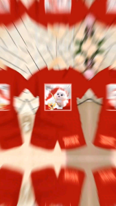 BAJU SETELAN ANAK BISA COD/SETELAN KUCING MERDEKA/17 AGUSTUS