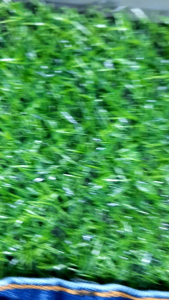 CELANA PENDEK SOBEK-SOBEK PRIA CELANA PENDEK KEKINIAN SIZE 27-44 BISA COD