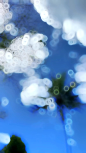 DECAL GORDONS PUTIH ONEONE NINE | decal klx bf | decal crf | decal dtracker ||