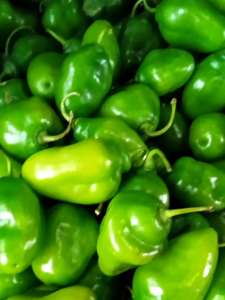 CABAI // CABAI GENDOT // BENDOET 1 KG SEGAR // PETIK DADAKAN // CABAI FRESH