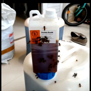 MADU ASLI MURNI NEKTAR RANDU 1 KG