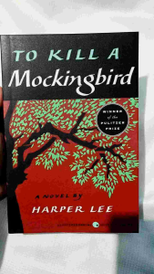 To Kill a Mockingbird Paperback by Harper Lee