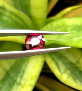 Batu Garnet Sri Lanka Natural Pyrope Almandine Garnet 1.05 Ct Memo GLI Merah Red Pigeon Blood Murah