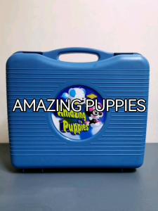 Plastic School Bag & Attach Case Type Bag: Versatile School Accessories