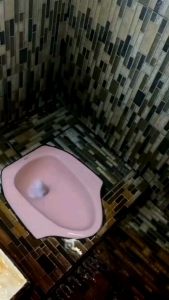 PAKET HEMAT ISI II Genio Cleaner Cairan Pembersih Serbaguna Noda Kerak Toilet Kamarmandi dll.