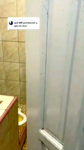 GENIQ CLEANER 500ML CAIRAN PEMBERSIH KERAMIK KAMARMANDI AMPUH ANGKAT NODA MEMBANDEL TOILET DAN DAPUR dll