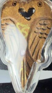 Phra Salika Nang thai amulet Buddhism religious pendants collection