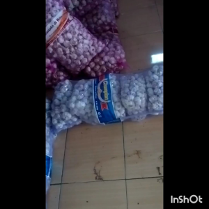 Sinco Bawang Putih Bawang Kemasan 1Kg