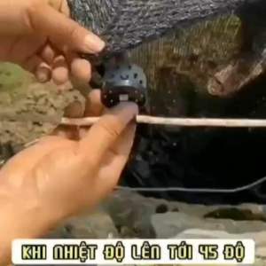 Combo 20 cai Kẹp lưới che nắng