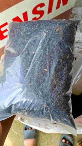 2 Liter sekam bakar steril media tanam